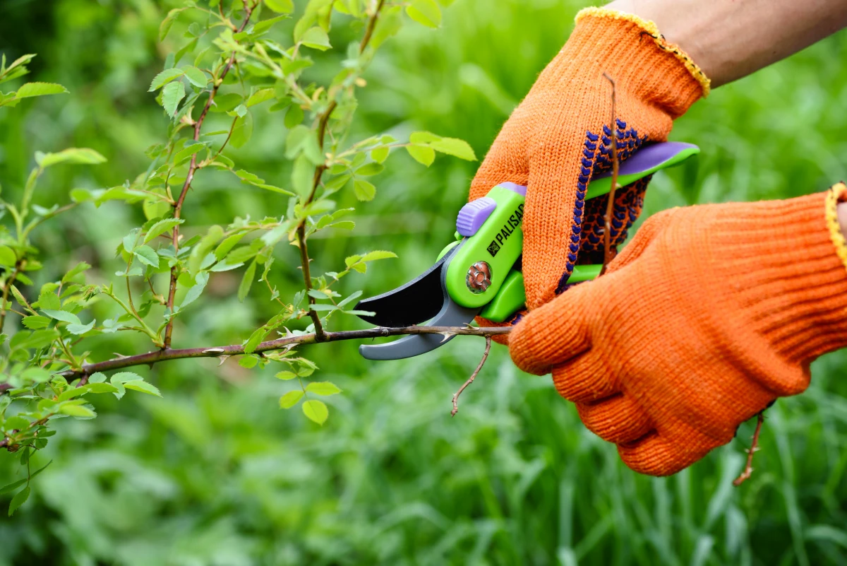 Jardin privatif : l'atout charme qui fait grimper la valeur de votre bien immobilier